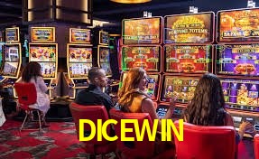 DICEWIN ¿Qué información cubre esta sección de preguntas frecuentes?